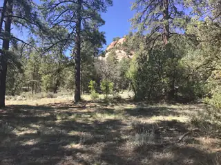 Lot 33 Aspen Loop 