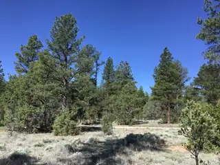 Lot 23 Cottonwood Lane 