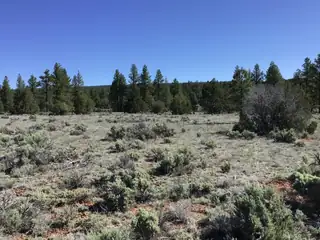 Lot 23 Cottonwood Lane 