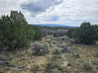 LINDRITH NM 
