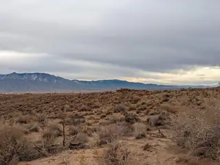 2523 Pluma (U13 B29 L72) Court NE 