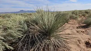 Vl Tierra Grande Lot 17 Block 16 10 