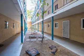 4200 MONTGOMERY Boulevard NE 115 