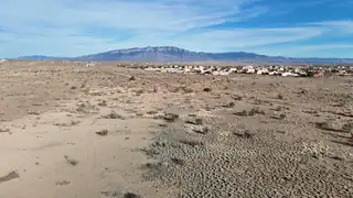 701 Moonbow Avenue NE 