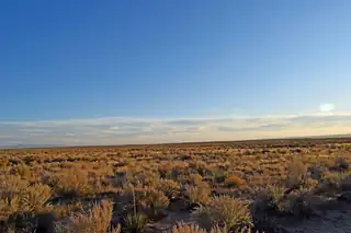 Lot 1-2 Rio Del Oro 61 