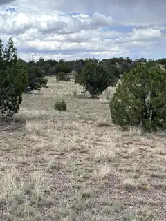 Lot 95 Abbe Springs 
