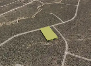 BRISTLECONE (U21 B70 L16 