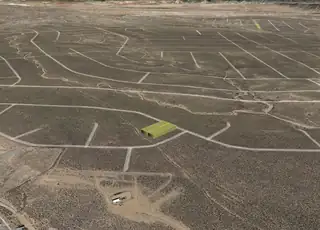 BRISTLECONE (U21 B70 L16 