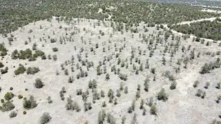 TWIN PEAKS COURT LOT 16, Estancia 