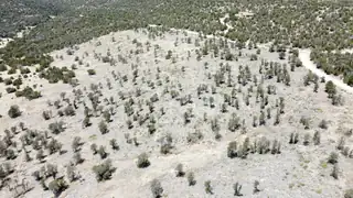 TWIN PEAKS COURT LOT 16 