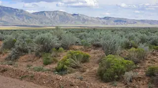 VL LOT: 10 BLOCK: 589 25 