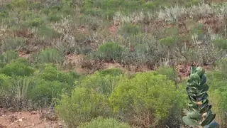 VL LOT: 2 BLOCK: 599 25 