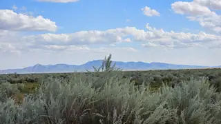 VL LOT: 31 BLOCK: 50 2 