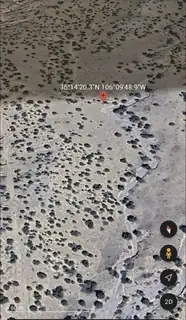 0 Wild Onion Road, Medanales 