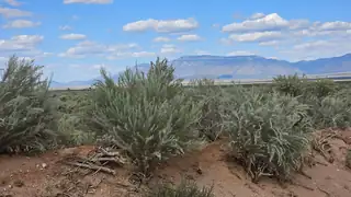 VL Lot 9 Block 375 17 