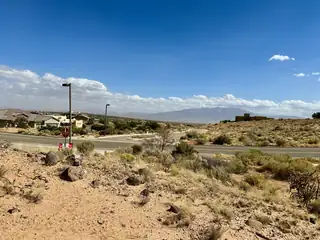 2313 DESERT MARIGOLD Road NE 