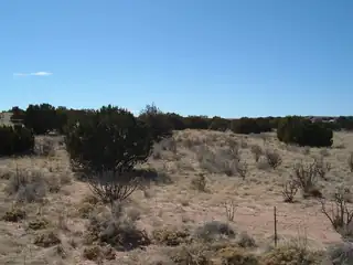 6021 Natalie (U25B21L13) Road NE 