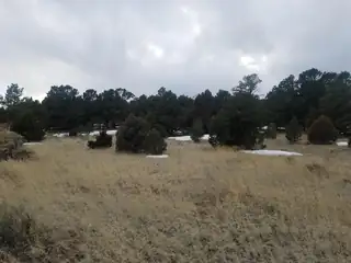 12 and 13 Ranchero Rd. 