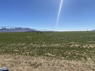 261 & 268 Warren Ranch Road 