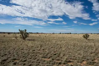 30 Camino De Fe, Moriarty 