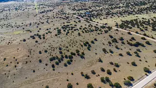 West 1/2 section 31 tract 1 