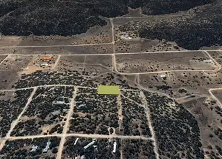 Forest (T:D B:23 L:J) Lane 