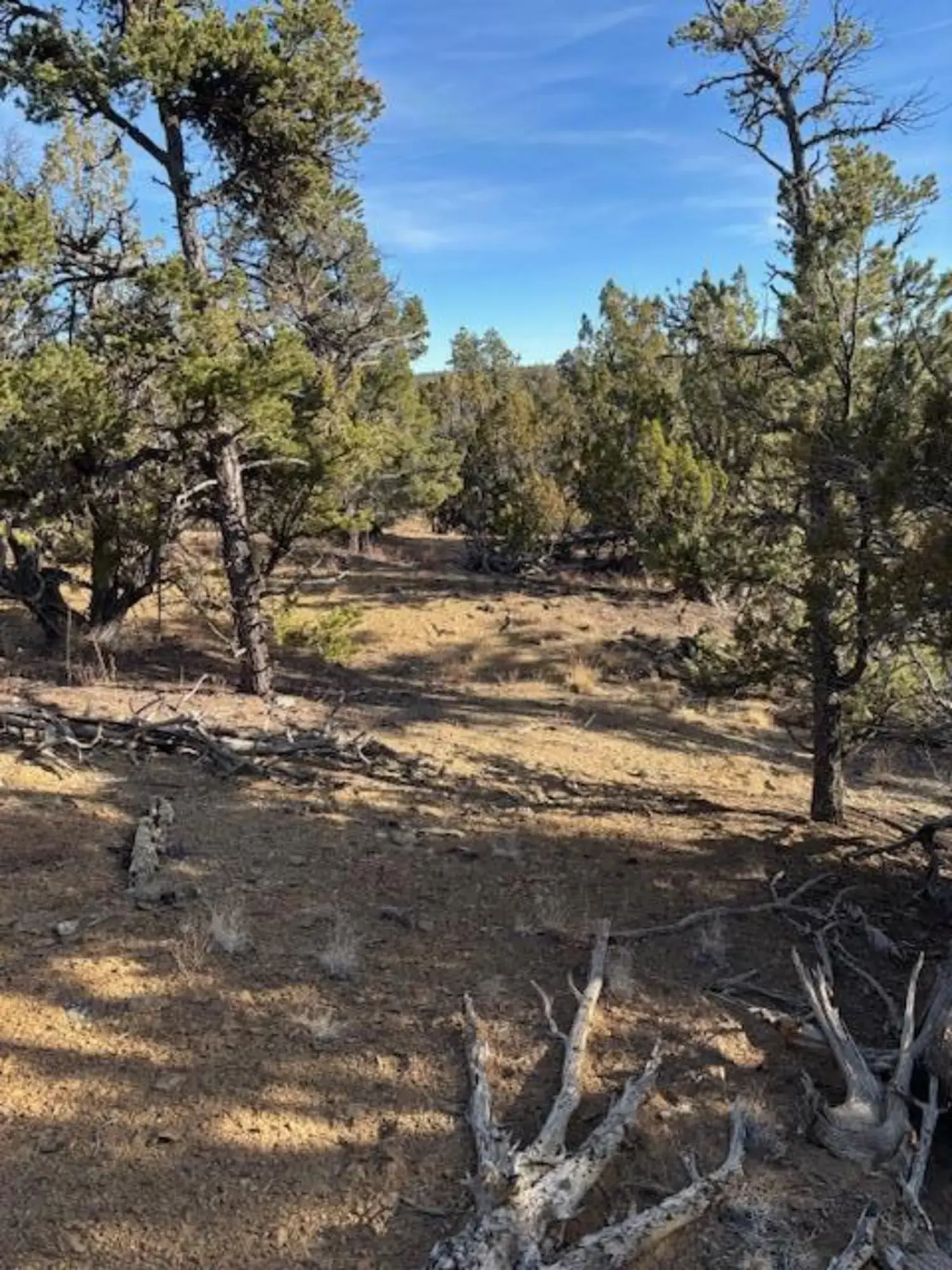 Rocky Knoll Ln Unit 92 Lot 228