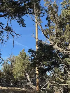 Rocky Knoll Ln Unit 92 Lot 228 