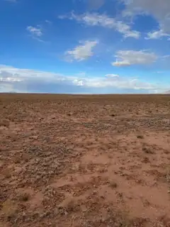 Teresa Ave Lot: 18 Block 445 