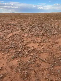 Teresa Ave Lot: 18 Block 445 