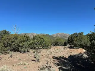 5 Canon De Manantial 