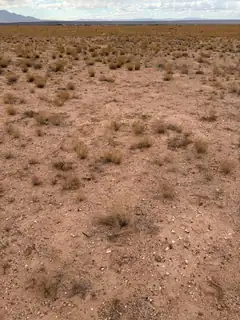 Uranga Ave Lot: 21 Block 182 