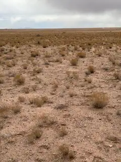 Uranga Ave Lot: 21 Block 182 