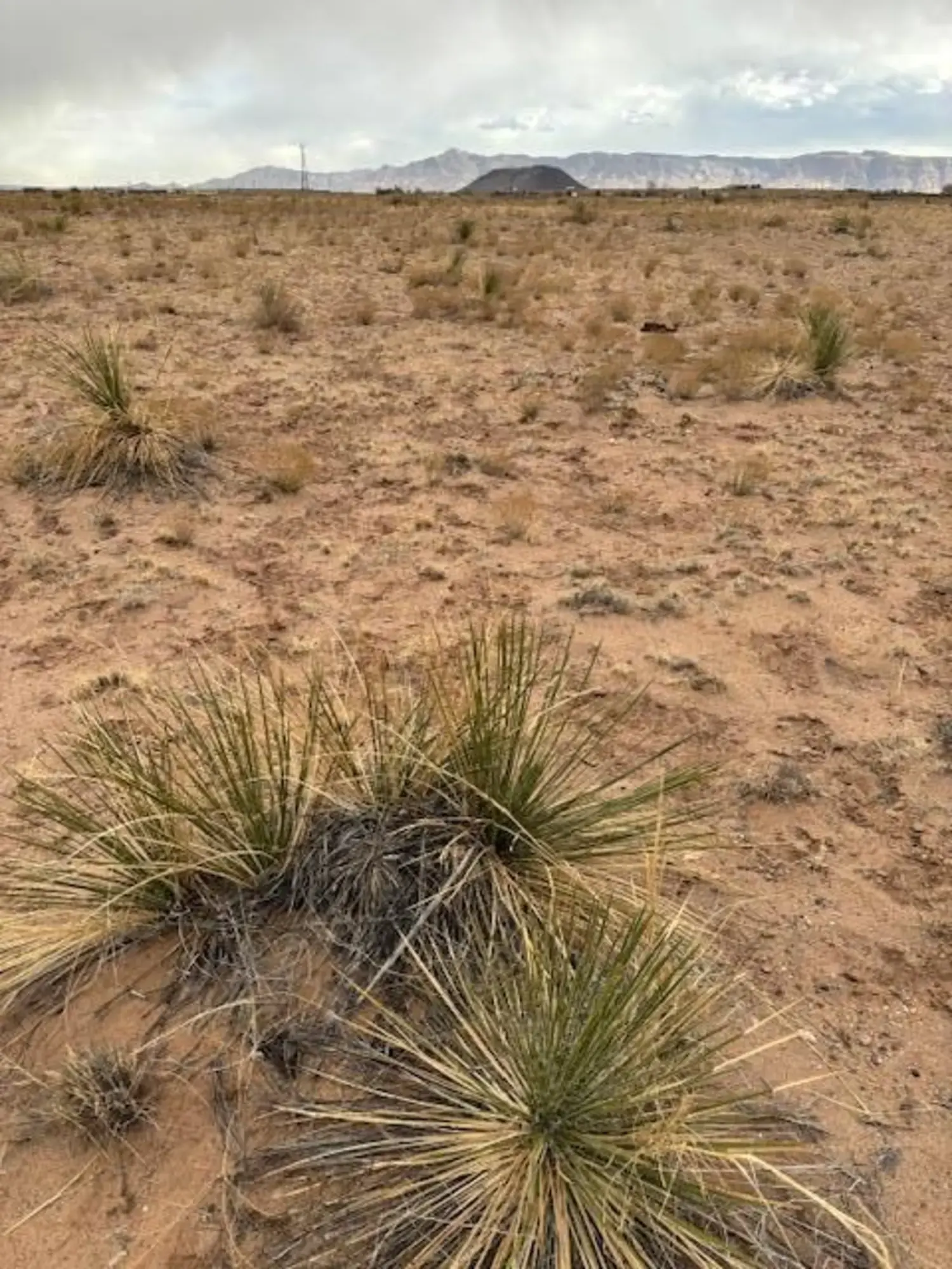 Aguilar Ave Lot: 11 Block:1002