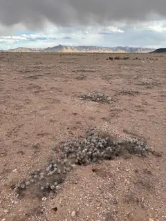 Quintero Ave Lot: 22 Block:147 