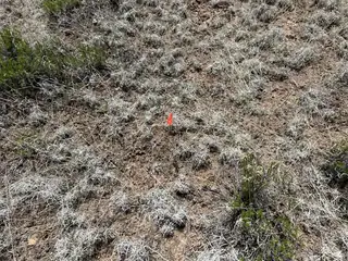 Lot 306 Edgewood Drive 