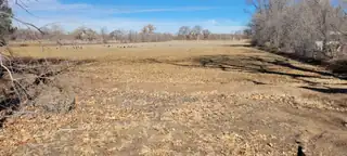 425 SHIRK Lane SW, Albuquerque 