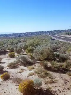 708 Broadmoor Boulevard NE 