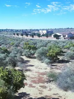 708 Broadmoor Boulevard NE 