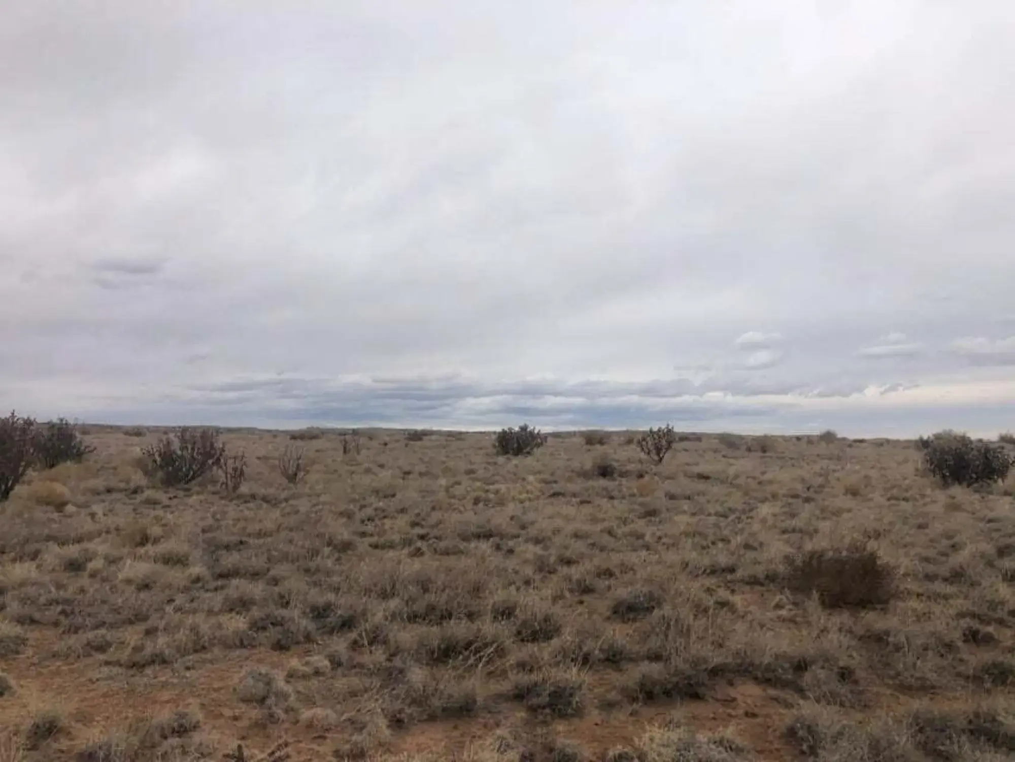 4321 Indigo Court NE