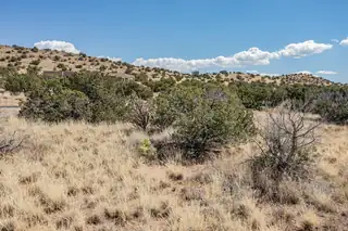 273 Star Meadow Road 