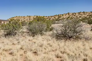 273 Star Meadow Road 