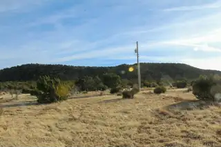 5568 State Highway 55 