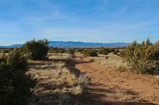 5568 State Highway 55 