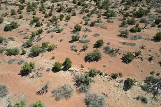 302 Moonlight Rdg Road 