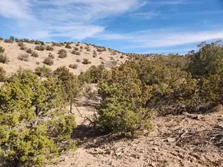 41 CAMINO DE LA ROSA CASTILLA 