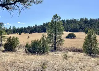 Lot 9 Juniper Drive, Ramah 