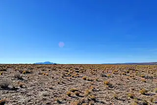 Lot 10 Parras Avenue 