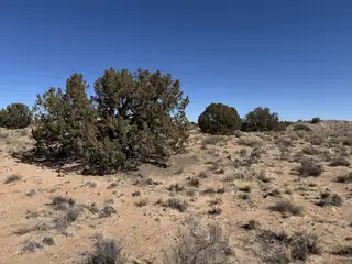 Antares Court, Rio Rancho 