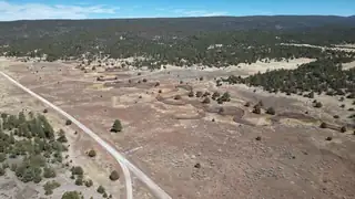 Tract C-1 Forest Road 157 